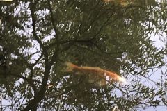 Bild-Biotop-rotated