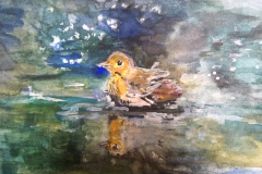 Vogelbad