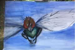 fly